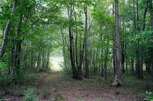 258 Peaceful Ln, Cascade, VA 24069 - Photo 41