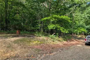 1040 Artists Way Rd, Danbury, NC 27016 - Photo 13
