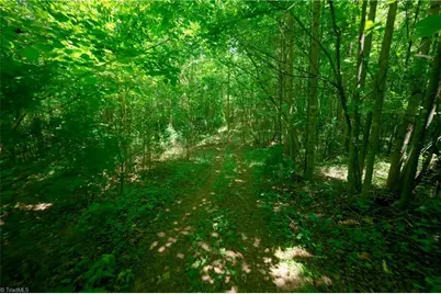 1 Hinshaw Road, Yadkinville, NC 27055 - Photo 7