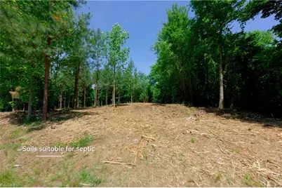 1 Hinshaw Road, Yadkinville, NC 27055 - Photo 3