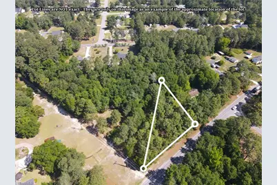 Tbd Cheraw Road, Hamlet, NC 28345 - Photo 3