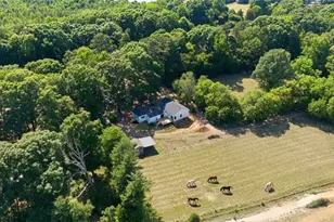 9030 Nc Hwy 22, Climax, NC 27233 - Photo 3