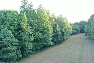 720 Park Springs Rd, Providence, NC 27315 - Photo 39