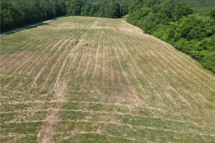 7875 Antioch Church Rd, Seagrove, NC 27341 - Photo 3