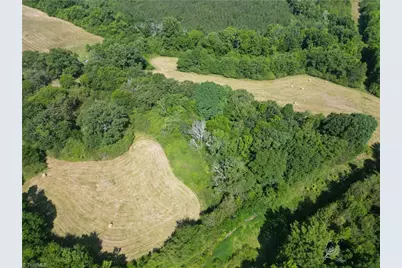 7875 Antioch Church Road, Seagrove, NC 27341 - Photo 11