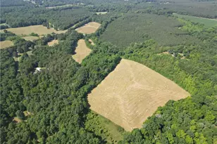 7875 Antioch Church Rd, Seagrove, NC 27341 - Photo 9