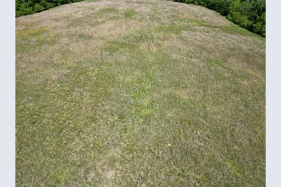 7875 Antioch Church Road, Seagrove, NC 27341 - Photo 13