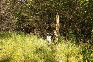 7875 Antioch Church Rd, Seagrove, NC 27341 - Photo 17