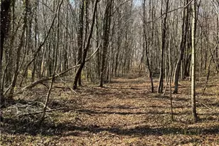 000 Barlow Ct, King, NC 27021 - Photo 39