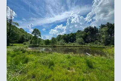 1298 Air Bellows Gap Road, Sparta, NC 28675 - Photo 11