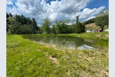 1298 Air Bellows Gap Road, Sparta, NC 28675 - Photo 9