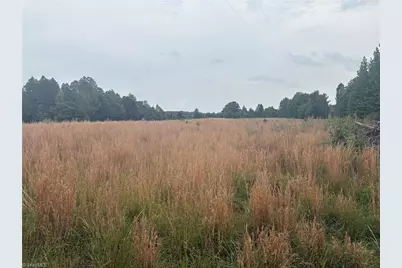 690 Goose Pond Road, Ruffin, NC 27326 - Photo 7