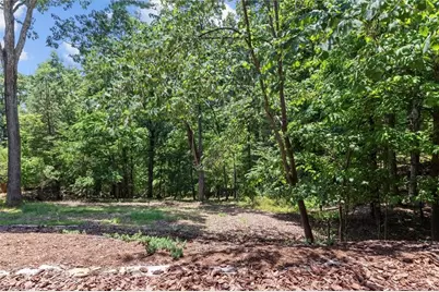 172 Lawson's Lookout, Denton, NC 27239 - Photo 43