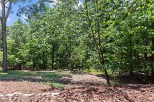 172 Lawsons Lookout, Denton, NC 27239 - Photo 43