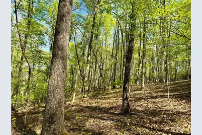3313 Nc Highway 66 S, Westfield, NC 27053 - Photo 17