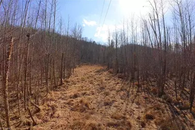 3313 Nc Highway 66 S, Westfield, NC 27053 - Photo 27