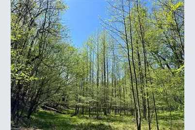 3313 Nc Highway 66 S, Westfield, NC 27053 - Photo 3