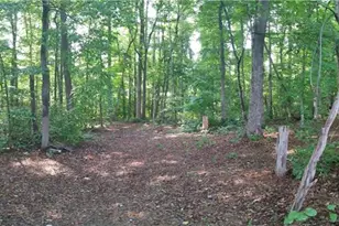 1090 Chestnut Grove Rd, King, NC 27021 - Photo 33