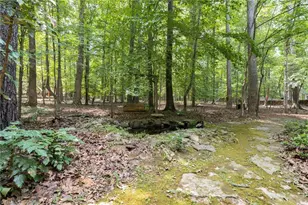 3311 Alex Dr, Hillsborough, NC 27278 - Photo 39