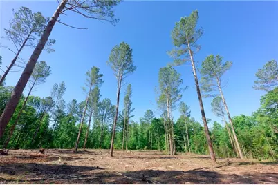 0 Carson Road, Cleveland, NC 27013 - Photo 3