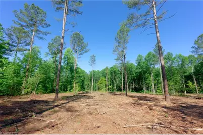 0 Carson Road, Cleveland, NC 27013 - Photo 7