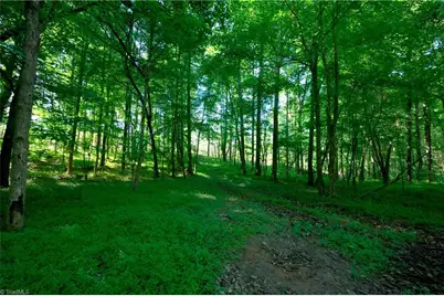 0 Carson Road, Cleveland, NC 27013 - Photo 5