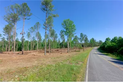 0 Carson Road, Cleveland, NC 27013 - Photo 3