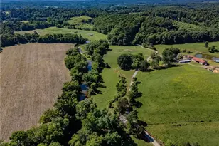 331 Sykes Dairy Rd, Mount Airy, NC 27030 - Photo 39