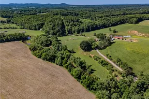 331 Sykes Dairy Rd, Mount Airy, NC 27030 - Photo 41