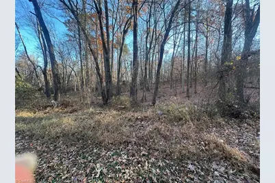 177 Snead Road, Stoneville, NC 27048 - Photo 27
