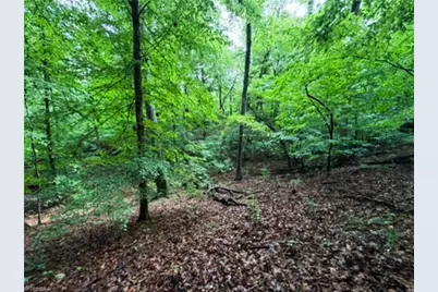 7767 Pearman Quarry Road, Kernersville, NC 27284 - Photo 11