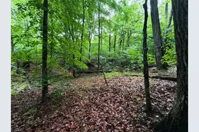 7767 Pearman Quarry Road, Kernersville, NC 27284 - Photo 9