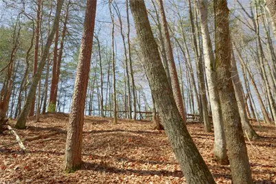 6 Old Mill Road, Pinnacle, NC 27043 - Photo 15