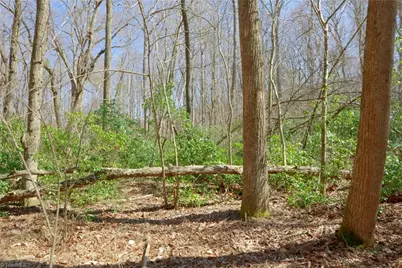 6 Old Mill Road, Pinnacle, NC 27043 - Photo 11