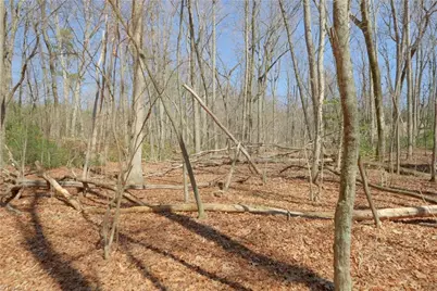 6 Old Mill Road, Pinnacle, NC 27043 - Photo 13