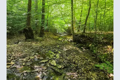 Xx 31.85 +-Ac Hampton Road, Germanton, NC 27019 - Photo 29