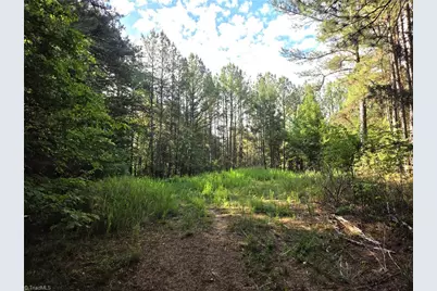 Xx 31.85 +-Ac Hampton Road, Germanton, NC 27019 - Photo 7