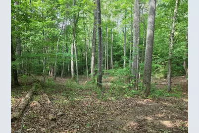Xx 31.85 +-Ac Hampton Road, Germanton, NC 27019 - Photo 15