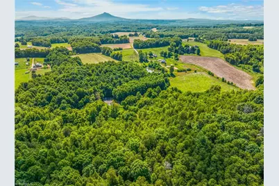 157 Buttercup Lane, Ararat, NC 27007 - Photo 25