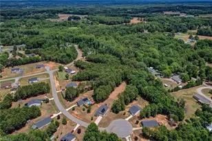157 Delia Run, Madison, NC 27025 - Photo 39