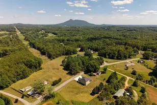 1097 Dodson Mill Rd, Pilot Mountain, NC 27041 - Photo 43