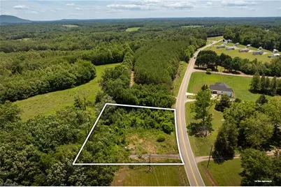 309 Ararat Longhill Road, Pilot Mountain, NC 27041 - Photo 3