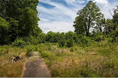 309 Ararat Longhill Road, Pilot Mountain, NC 27041 - Photo 25