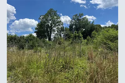 309 Ararat Longhill Road, Pilot Mountain, NC 27041 - Photo 31
