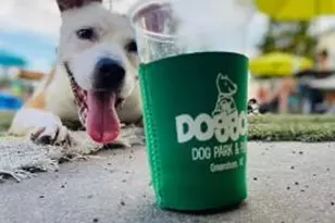 3710 Straw Hat Rd, Greensboro, NC 27410 - Photo 37