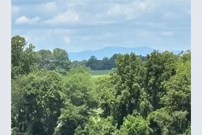 460 Greene Road, Dobson, NC 27017 - Photo 13