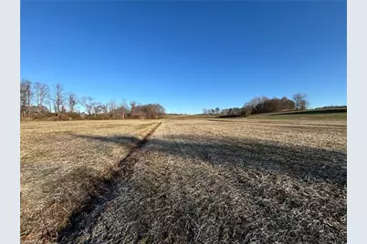 460 Greene Road, Dobson, NC 27017 - Photo 45