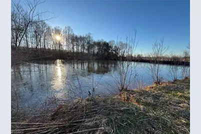 460 Greene Road, Dobson, NC 27017 - Photo 17