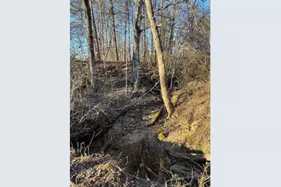 460 Greene Road, Dobson, NC 27017 - Photo 39