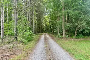 919 Maple Grove Church Rd, Hays, NC 28635 - Photo 3